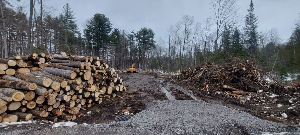 Excavation lebo faisant le déboisement d'un terrain à gatineau